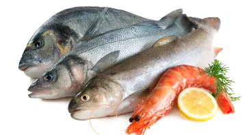 Bienvenue A Bord Poissonnerie Vic En Bigorre Notre Poissonnerie BIENVENUE A BORD