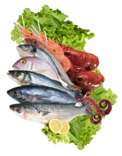 Bienvenue A Bord Poissonnerie Vic En Bigorre Poissonnerie A Saint Justin