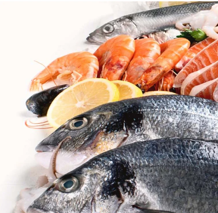 Bienvenue A Bord Poissonnerie Vic En Bigorre Poissonnerie